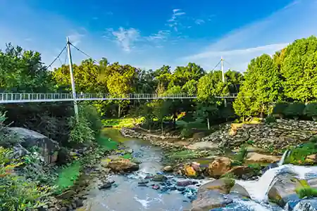 Bus Travel to Greenville SC