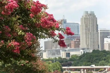Bus Travel to Raleigh NC